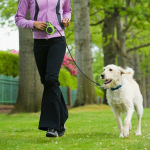 Λουράκι σκύλου με ιμάντα & stop ANM-0004, 5m, πράσινο