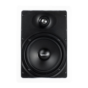 TruAudio Ghost IWP-6 2-way in-wall speaker