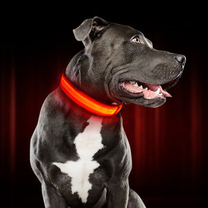 Περιλαίμιο σκύλου AG232 με φωτισμό LED, 34-44cm, μαύρο-κόκκινο